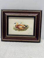 Front view of framed lithograph showing two ruddy shelducks in naturalistic setting with dark reddish-brown frame and gold trim.