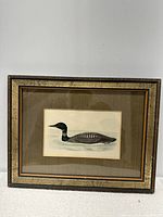 Front view of the framed bird print showing the entire bird, frame, and matting.