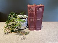 Two hardcover volumes of The New Century Dictionary placed upright on a surface with a plant nearby, showing spines with titles and publisher Appleton Century.