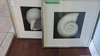 Two framed shell-themed artworks side by side on the floor showing different types of shell details in black and white.