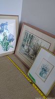 Three floral-themed framed artworks leaning against a wall, showing two floral prints and one featuring a cat among flowers. Includes visible tape measure for scale.
