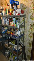 Metal shelving unit with assorted home care, cleaning, and pest control items including sprays and shampoo bottles against floral wallpaper.