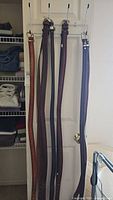 Five men's belts hanging on door, showing varying colors and widths