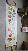 Botanical poster depicting different apple types with gold scroll decoration on top and bottom, laid on carpet with frames nearby.