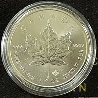 Reverse side showing the large maple leaf design with 99.99% silver purity marks and mint privy mark.