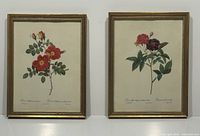 Two framed prints side by side against white backdrop