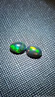 Pair of natural black opals with multicolored flashes on textured black background.
