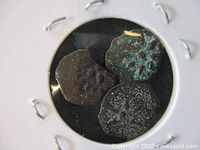 Three bronze coins from ancient Judea in a white coin holder. Coins show patina and wear consistent with age.