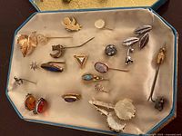 Stick pins and brooches arranged in lined jewelry box