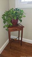 Live potted plant with green variegated leaves on wooden plant stand in corner of room with hardwood floor and window above.