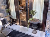 Two large cast iron urn planters with pedestals, each planted with small tree and trailing ivy on a concrete step in front of glass doors
