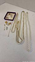 Overall view of necklaces, earrings, and pin laid flat on white surface.