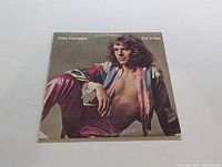 Front cover of Peter Frampton's "I'm In You" LP showing Peter Frampton posed seated wearing colorful patchwork jacket and maroon pants.
