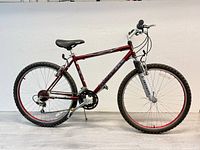 Side view of red Infinity mountain bike showing full frame, tires, seat and handlebars