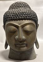 Front view showing facial features, urna, and curly hair texture