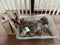 Plastic bin filled with multiple costume jewelry items including necklaces, bracelets, and scarf clasps packed loosely in bags