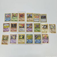 Top-down view of all 19 Pokémon cards laid out, showing a variety of characters in protective sleeves and hard cases.