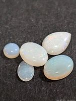 Five genuine opals of mixed shapes displayed on black background highlighting opalescent colors.
