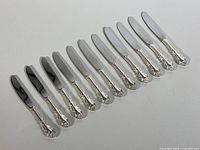 Set of 11 fruit knives laid out, showing handles and blades clearly.