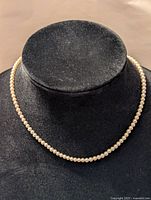 Front view of a small pearl choker necklace displayed on a black jewelry stand, showing the single strand of uniform pearls.
