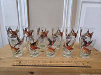 Overall view of the 13 Hazel Atlas glasses with pheasant hunting design arranged on a wood surface with measuring ruler for size reference
