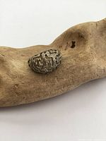 Front angled view of a silver dome ring showing detailed cut out geometric maze-like pattern on top, placed on a wooden surface.