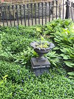 Wide shot of the pedestal planter surrounded by greenery near a black fence, showing overall shape and size.