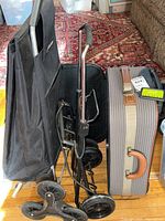 Photo showing the Ricardo hard-sided suitcase, the black Travel Caddy Inc. collapsible shopping trolley, and the black Rolser wheeled bag with triple wheels.