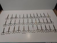 Photo showing 36 small metal scissors arranged in rows on a white surface, longest scissors approximately 4 inches.