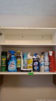 Shelf with nine cleaning products including Raid Max, Lysol, Pine-Sol, Clorox sprays, and a scrub brush.
