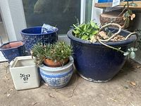 Six planters grouped together outside, showing large cobalt blue planter with jade plant, Asian style blue and white planter, cobalt blue geometric planter, small cobalt planter, small round bamboo planter, and a white square planter with Chinese character.