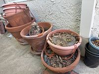 Several stacked and arranged terra cotta and plastic pots on an outdoor concrete surface, containing dried plant matter and debris