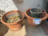Two terracotta planter pots placed side by side against a wall. One pot has an Aztec-like design and sits on a base; the other is plain and contains a smaller plastic pot.