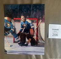 Front view of 8" x 10" color hockey action photo with players and net