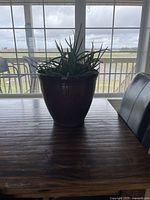 Large dark brown flower pot with a green spiky plant inside placed on a wooden table by a window.