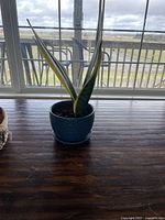 Snake plant in blue ceramic flower pot on wooden table near large window with outdoor view.