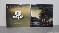 Front covers of two Fleetwood Mac vinyl LP albums including a Greatest Hits album and another with a nature-themed cover.
