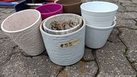 Front view of assorted plant pots showing a variety of colors and textures, including a white pot marked #55.