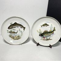 Two vintage East German fish themed plates displayed upright on stands showing detailed illustrations of fish and underwater scene.