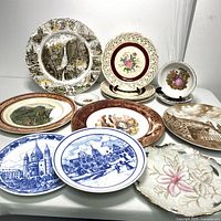 Photo showing eleven assorted ceramic decorative plates with various themes including scenic views, florals, and figurative art.