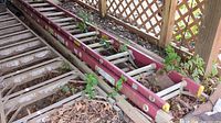 Photo of metal extension ladder lying on ground, showing red rails, aluminum rungs, leaves and plant growth entangled, dirt and weathering.
