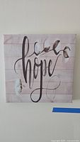 Canvas wall art with word 'hope' in script and floral details