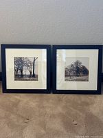 Two square framed art pieces side by side, showing sepia tone images of trees with a white mat and dark wood frame, placed against a beige carpet and wall.