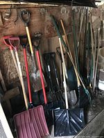 Photo showing a variety of garden tools including snow shovels, spades, pitchforks and rakes standing against a wall in a wooden shed.