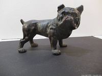 Front-side view of vintage cast iron dog figurine showing face and muscular body