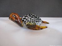 Side front view showing amber colored head and flippers with spotted shell