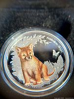 Close-up photo of the silver coin showing colored dingo pup design in protective capsule.