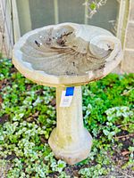 Full view of assembled bird bath showing scalloped bowl top and pedestal base on garden ground with some debris in the bowl.