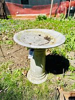 Photo of the bird bath placed outdoors on grass and soil, showing the entire item with leaf debris in the basin.