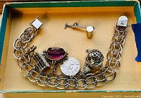 Overhead view of bracelet laid in box showing chain, attached charms and loose bug sprayer charm